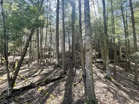 V/l Coates, Brethren, MI 49619 photo 67