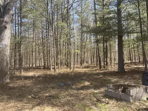 V/l Coates, Brethren, MI 49619 photo 35