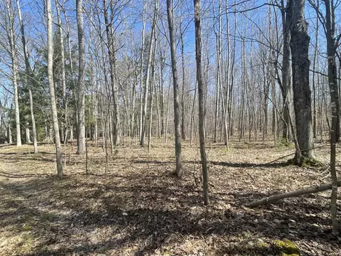 V/l Coates, Brethren, MI 49619 photo 47