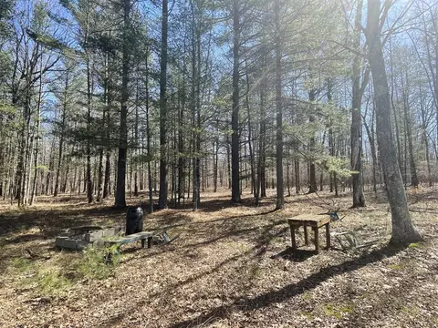 V/l Coates, Brethren, MI 49619 photo 33