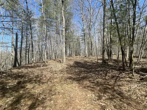 V/l Coates, Brethren, MI 49619 photo 43