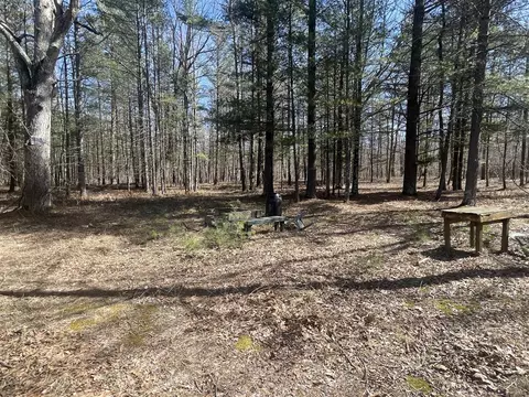 V/l Coates, Brethren, MI 49619 photo 32