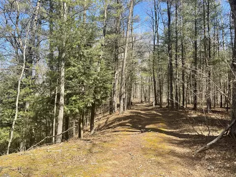V/l Coates, Brethren, MI 49619 photo 36