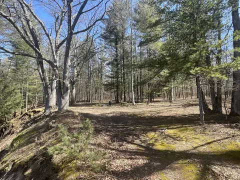 V/l Coates, Brethren, MI 49619 photo 31