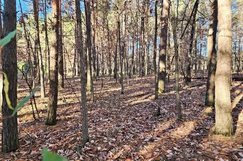 10034 Sherwood, Canadian Lakes, MI 49346