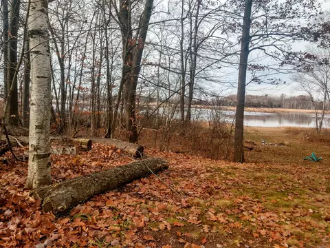 1223 Swan, Crystal, MI 48818 photo 4