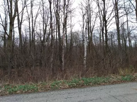 0 Vl 15 Mile, Tekonsha, MI 49092 photo 2