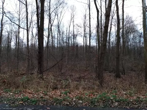 0 Vl 15 Mile, Tekonsha, MI 49092