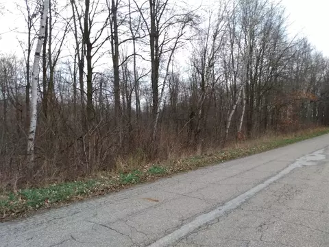 0 Vl 15 Mile, Tekonsha, MI 49092 photo 5