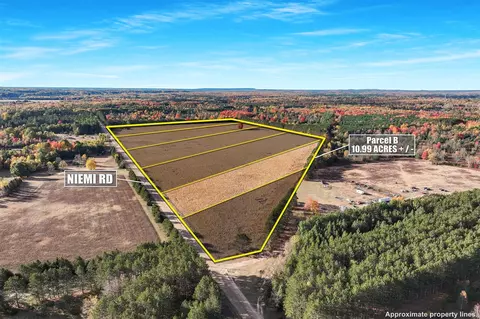 0 Vl 1099 Acres Niemi #PARCEL B, Kaleva, MI 49645