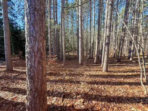76 E 22, Manton, MI 49663 photo 31