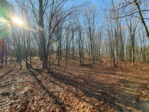 76 E 22, Manton, MI 49663 photo 37