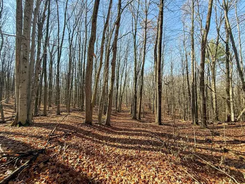 76 E 22, Manton, MI 49663 photo 46