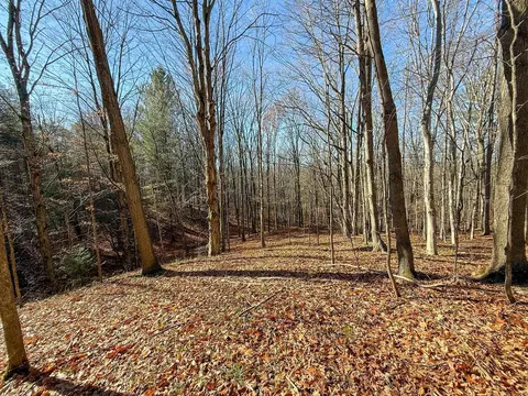76 E 22, Manton, MI 49663 photo 54