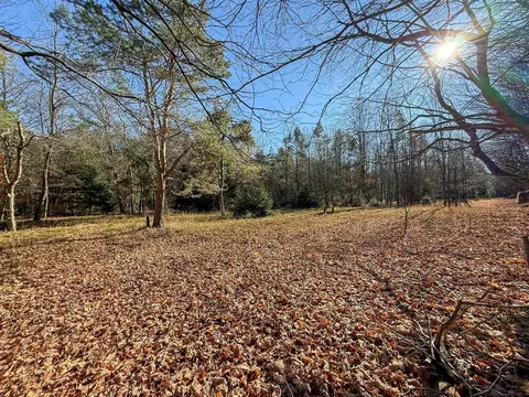 76 E 22, Manton, MI 49663 photo 49