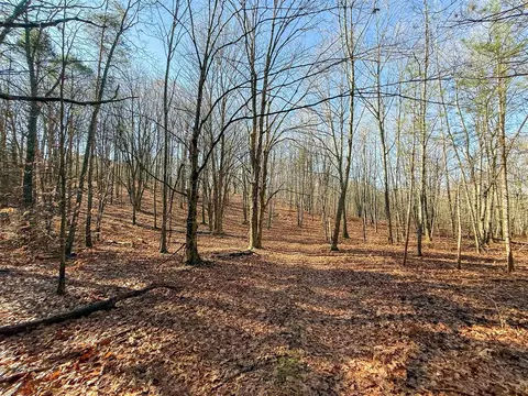 76 E 22, Manton, MI 49663 photo 36