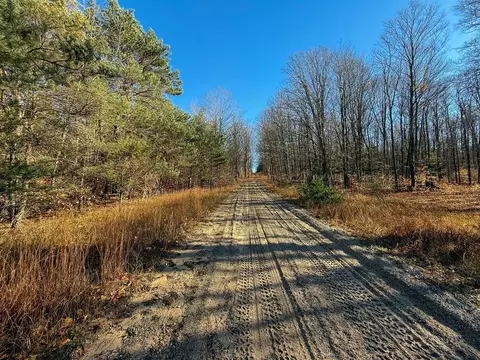 76 E 22, Manton, MI 49663 photo 20