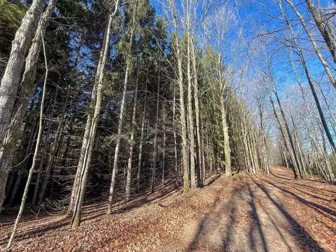 76 E 22, Manton, MI 49663 photo 25