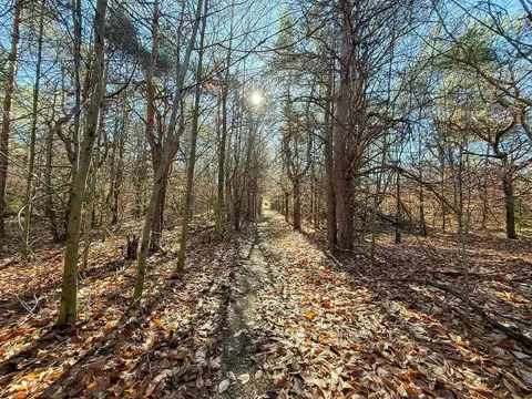 76 E 22, Manton, MI 49663 photo 52