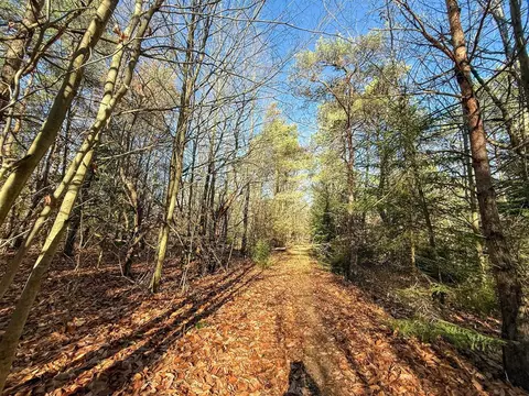 76 E 22, Manton, MI 49663 photo 50