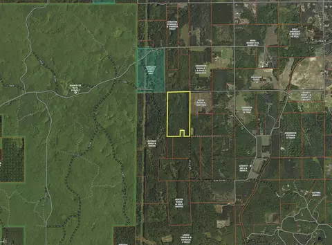 76 E 22, Manton, MI 49663 photo 59