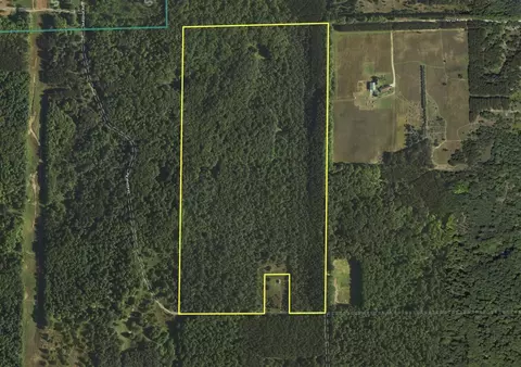 76 E 22, Manton, MI 49663 photo 58