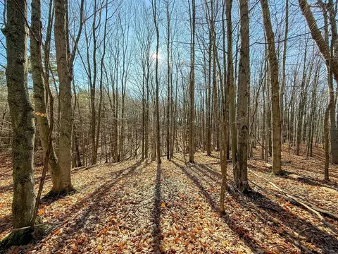 76 E 22, Manton, MI 49663 photo 10