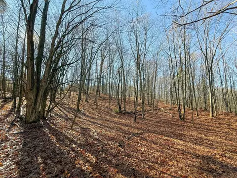 76 E 22, Manton, MI 49663 photo 9