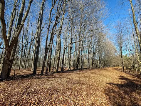 76 E 22, Manton, MI 49663 photo 3