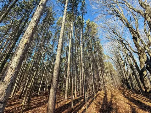 76 E 22, Manton, MI 49663 photo 32