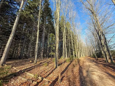 76 E 22, Manton, MI 49663 photo 27
