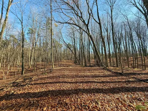 76 E 22, Manton, MI 49663 photo 14
