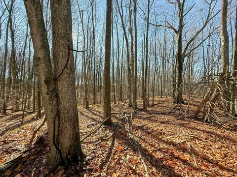 76 E 22, Manton, MI 49663 photo 41