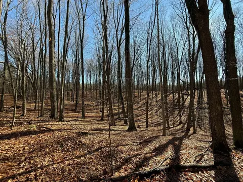 76 E 22, Manton, MI 49663 photo 44