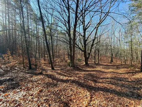 76 E 22, Manton, MI 49663 photo 35