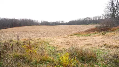 lot1 E Baker, Hesperia, MI 49421