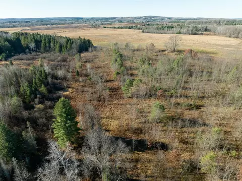 40 E 10, Manton, MI 49663 photo 9