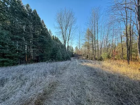 40 E 10, Manton, MI 49663 photo 15