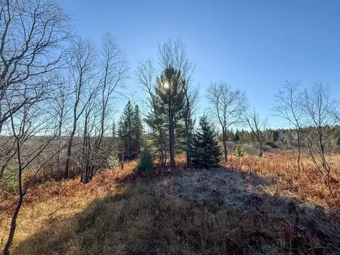 40 E 10, Manton, MI 49663 photo 19