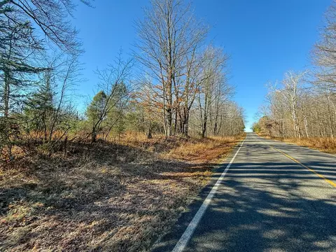 40 E 10, Manton, MI 49663 photo 2