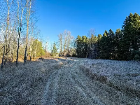 40 E 10, Manton, MI 49663 photo 5