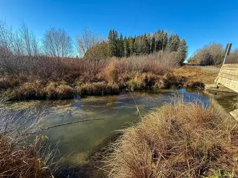 40 E 10, Manton, MI 49663 photo 26