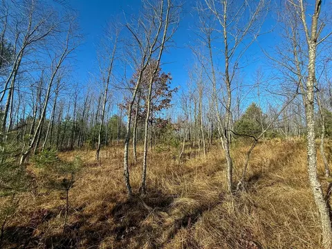 40 E 10, Manton, MI 49663 photo 21