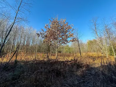 40 E 10, Manton, MI 49663 photo 17
