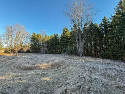 40 E 10, Manton, MI 49663 photo 13