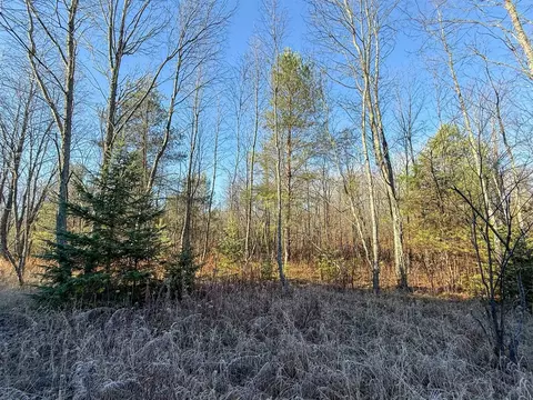 40 E 10, Manton, MI 49663 photo 14