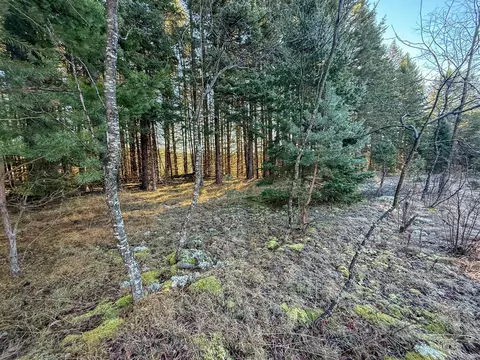40 E 10, Manton, MI 49663 photo 16