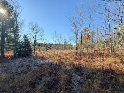 40 E 10, Manton, MI 49663 photo 18