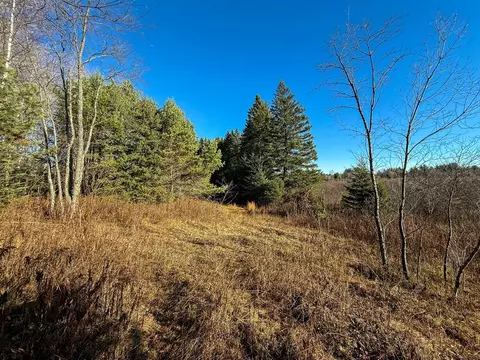 40 E 10, Manton, MI 49663 photo 6