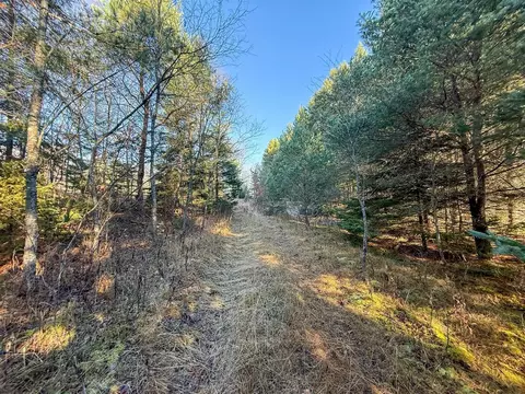 40 E 10, Manton, MI 49663 photo 22